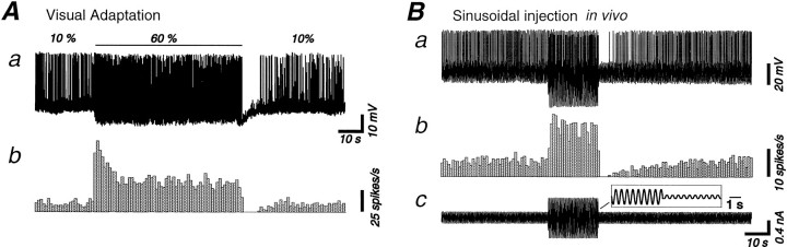 Fig. 8.