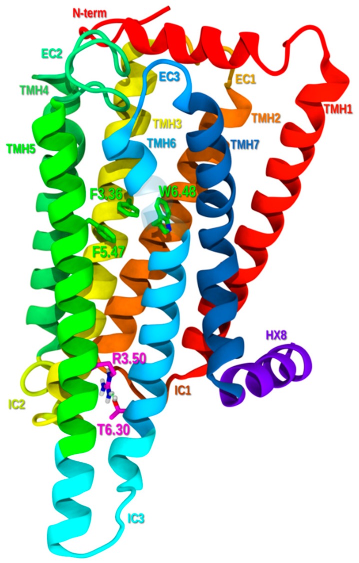 Figure 2