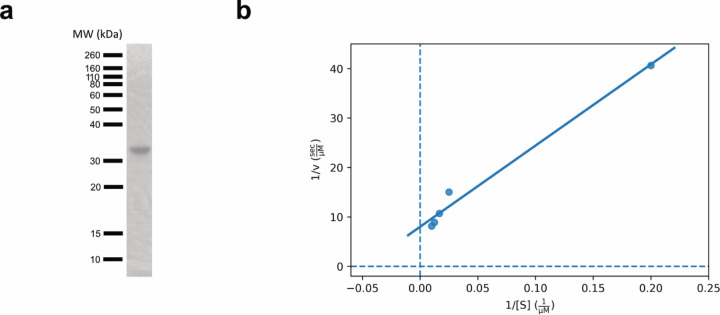 Extended Data Fig. 1.