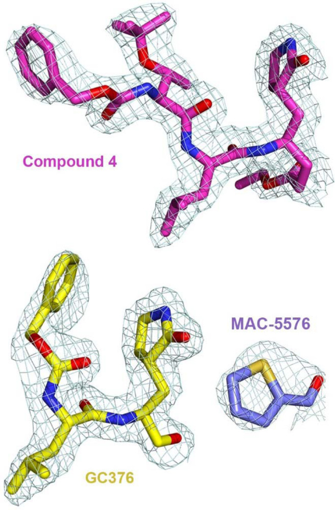 Extended Data Fig. 4.