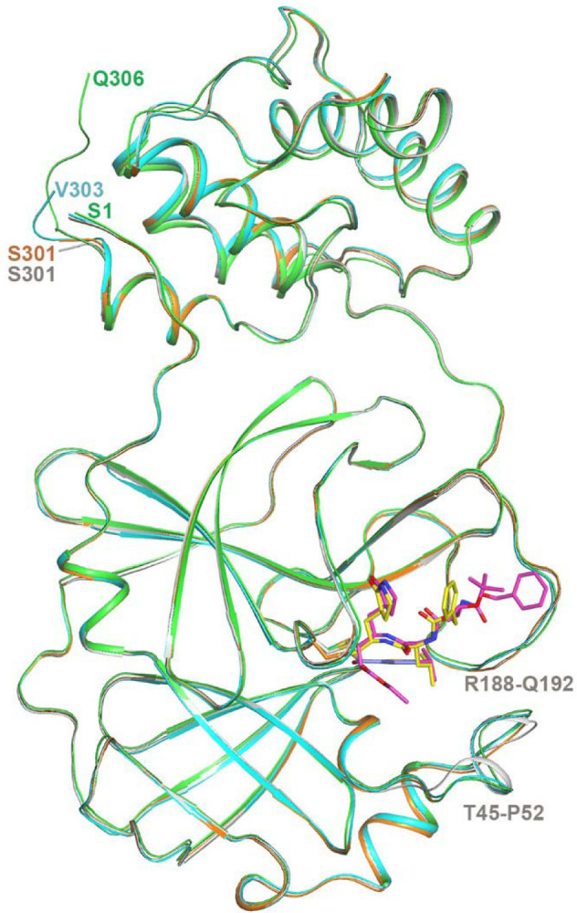 Extended Data Fig. 5.