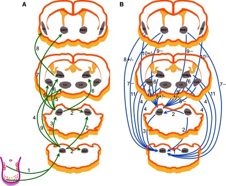 FIG. 7.