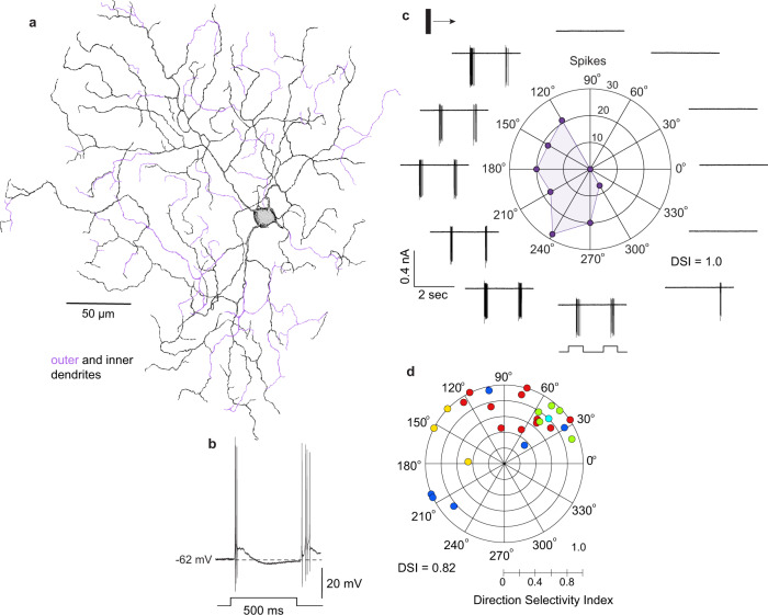 Fig. 3