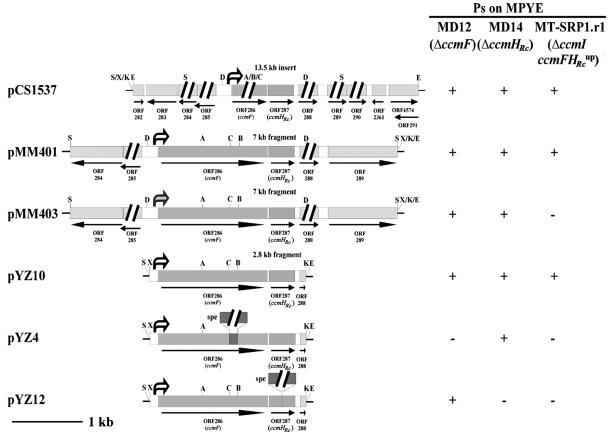 FIG. 3.