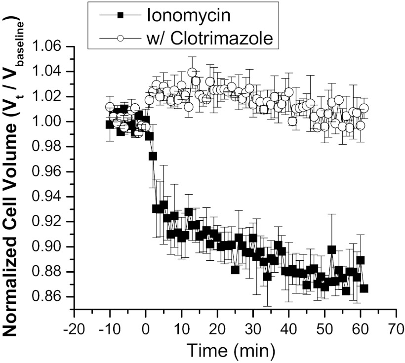 Fig. 7.