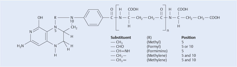 Fig. 1