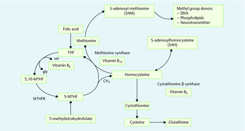 Fig. 2