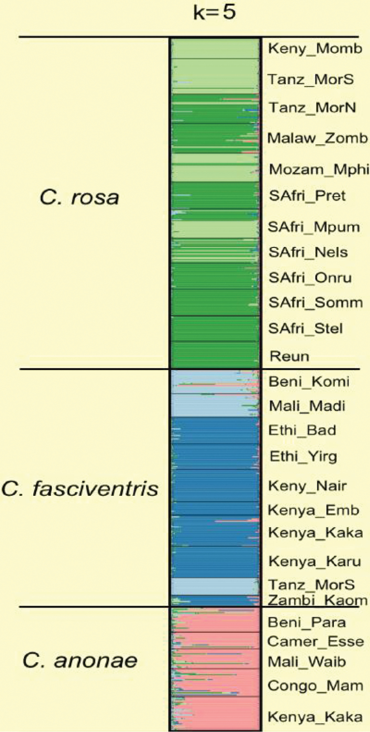 Figure 7.