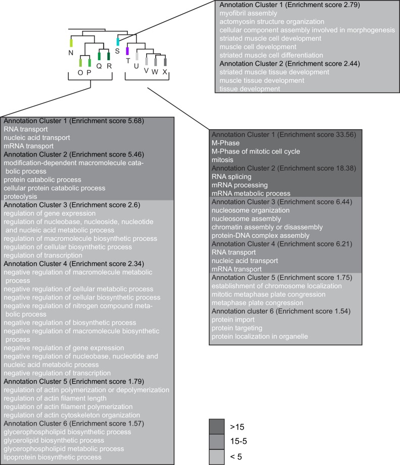 Figure 3—figure supplement 2.