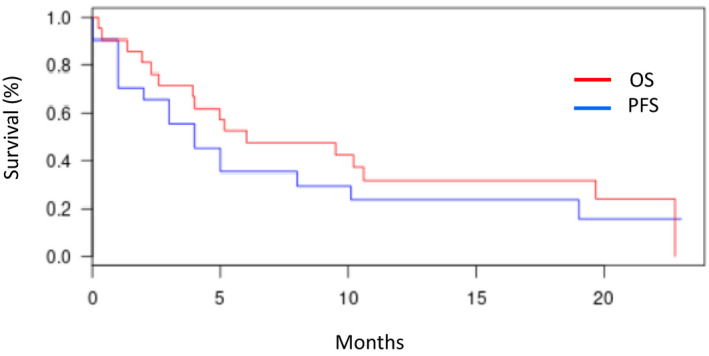 FIGURE 3