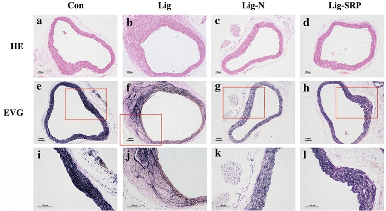 Fig. 5