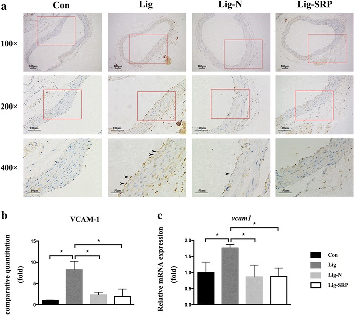 Fig. 6