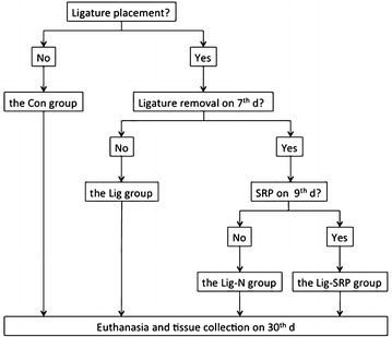 Fig. 9