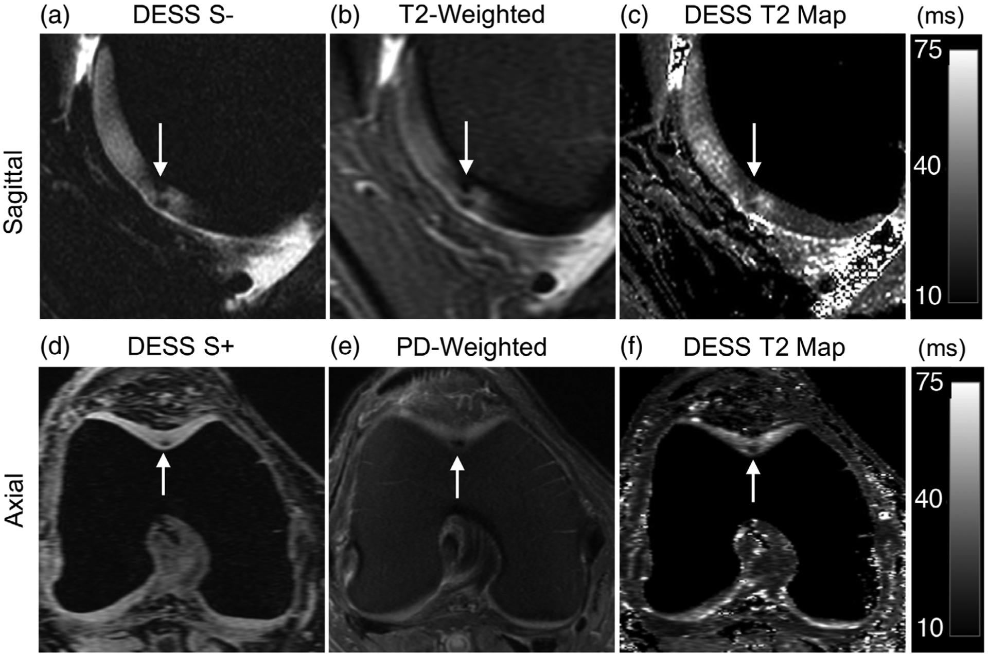 FIGURE 4: