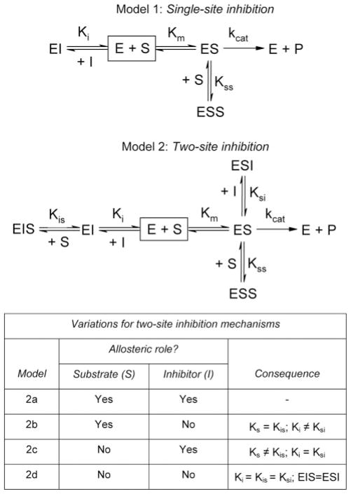 SCHEME 2