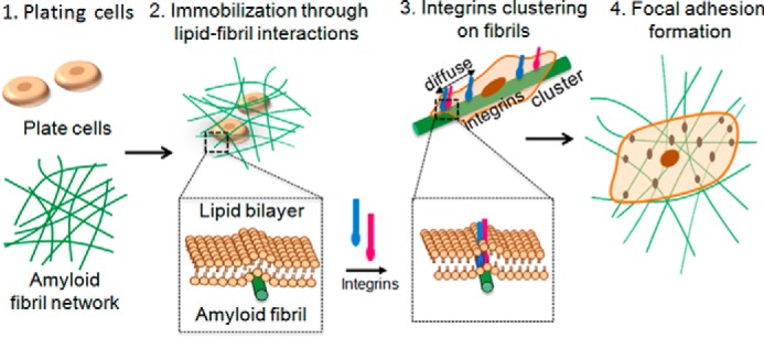 FIGURE 18.