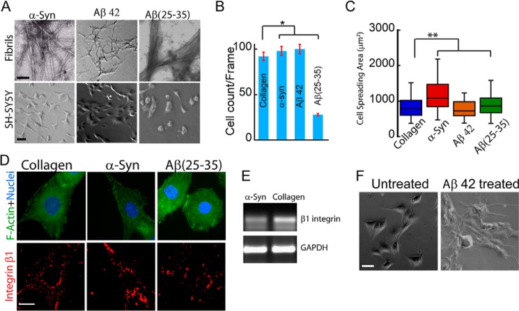 FIGURE 17.