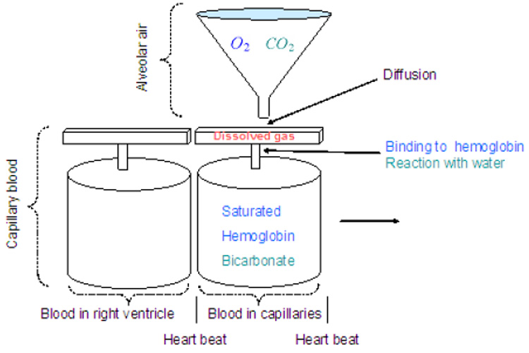 Fig. 9