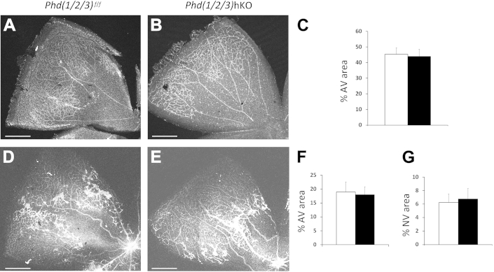 Figure 6