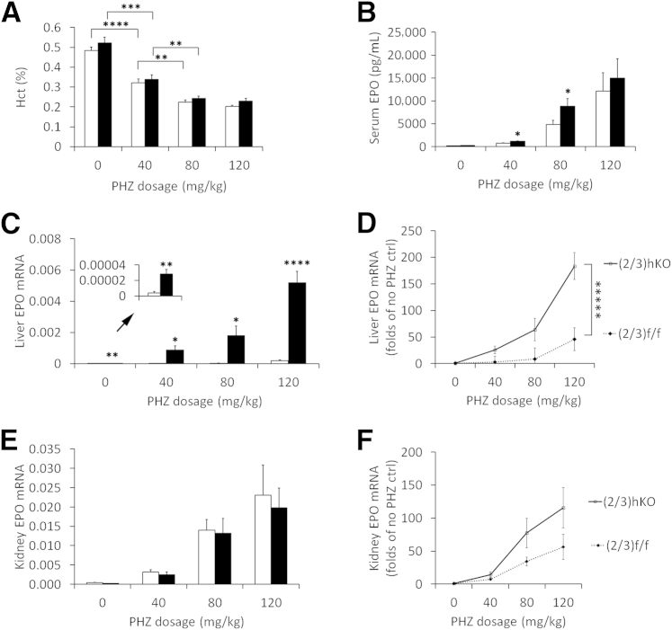 Figure 5