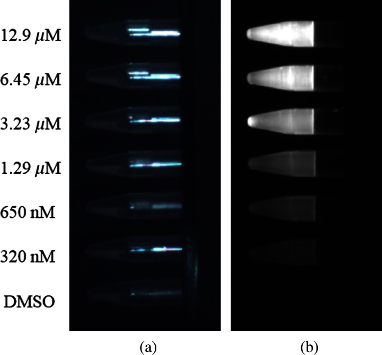 Fig. 10