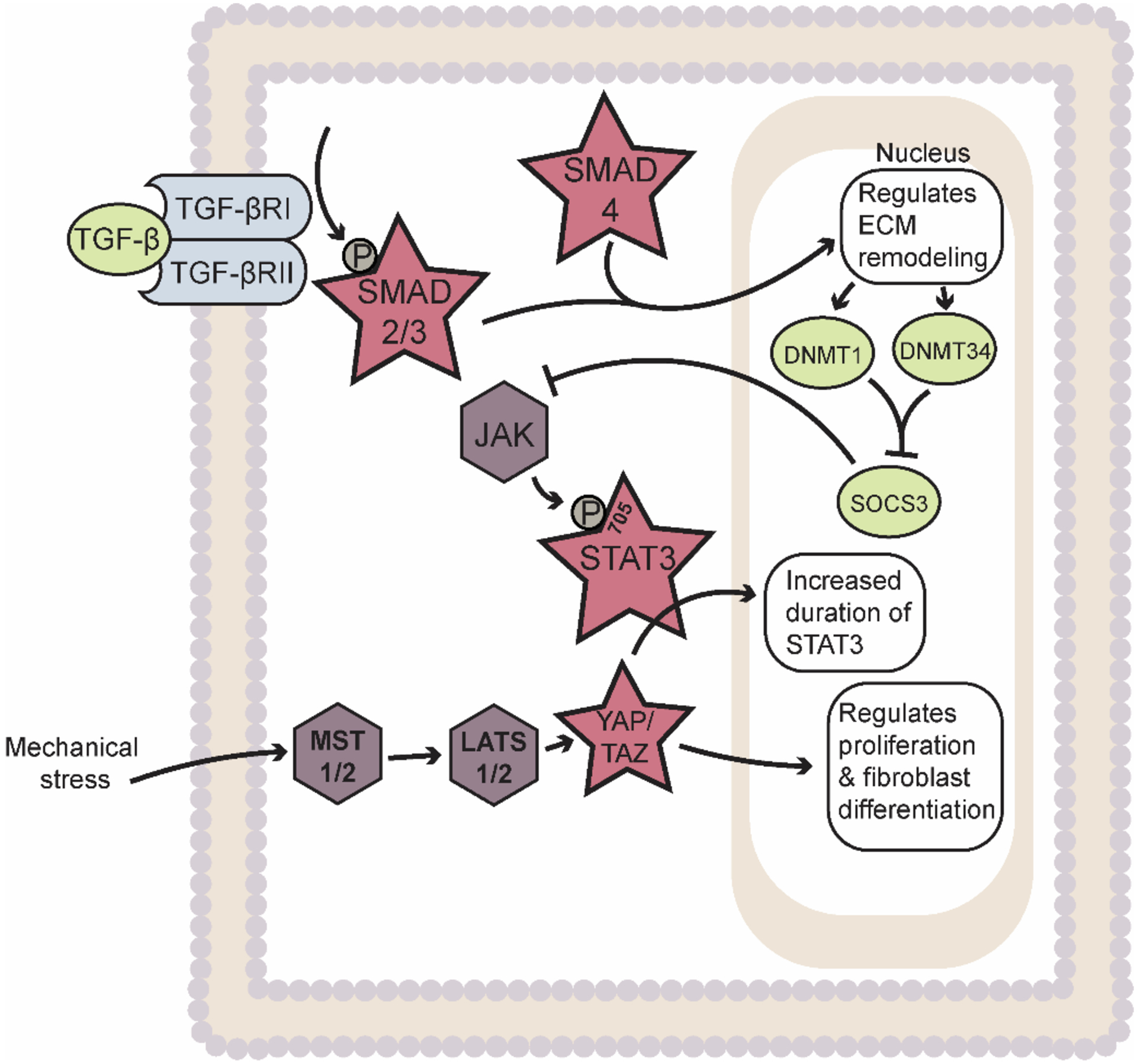 Figure 1: