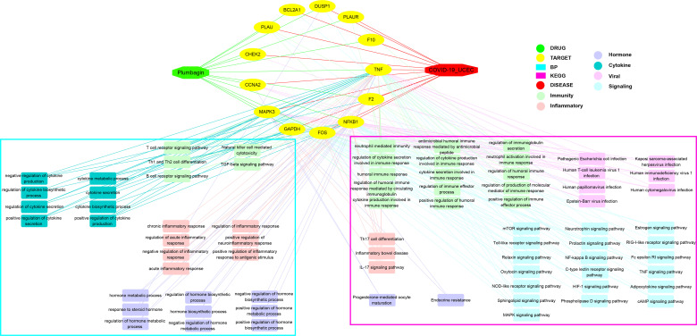 Figure 6