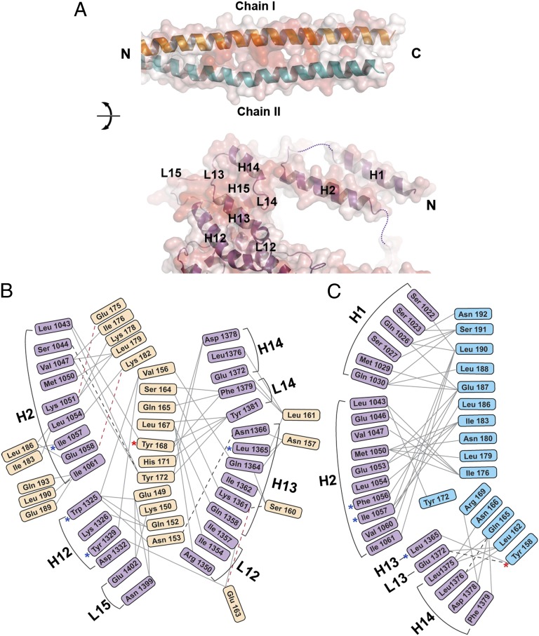 Fig. 3.