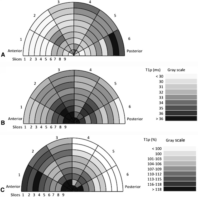 Fig. 3A–C