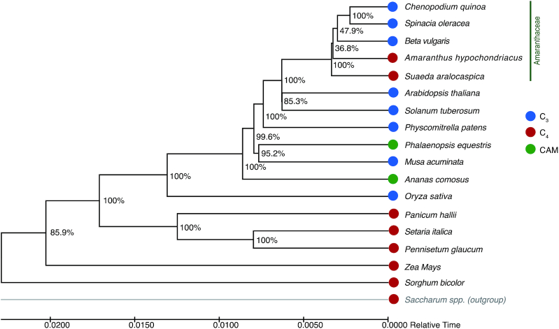 Figure 2: