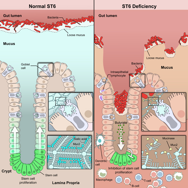 graphic file with name nihms-1788152-f0008.jpg