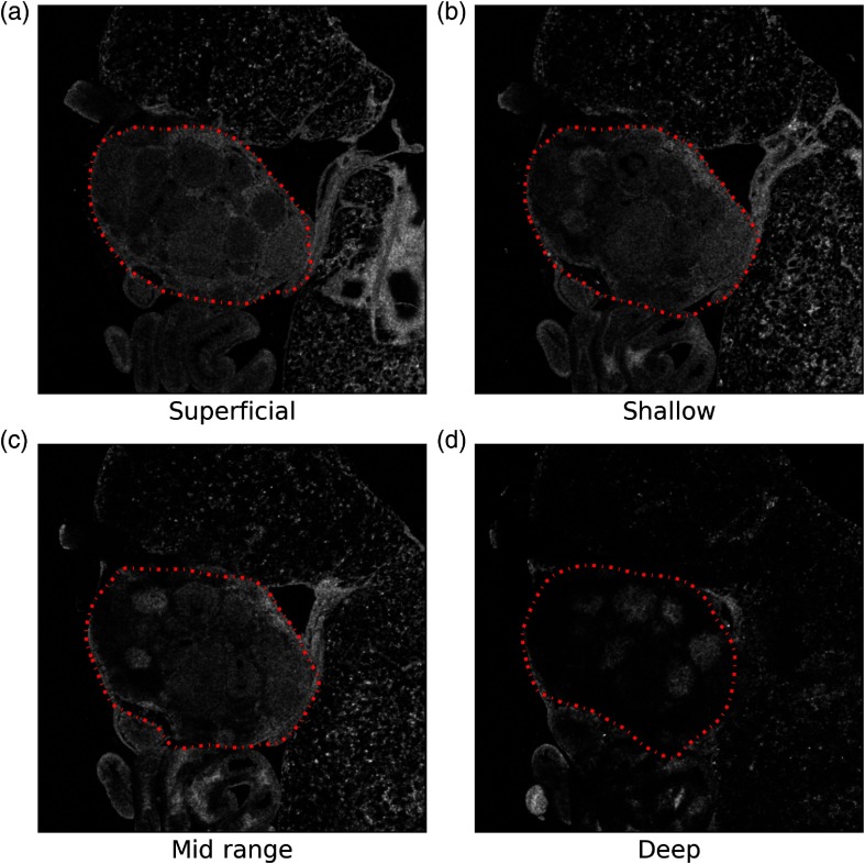 Fig. 7