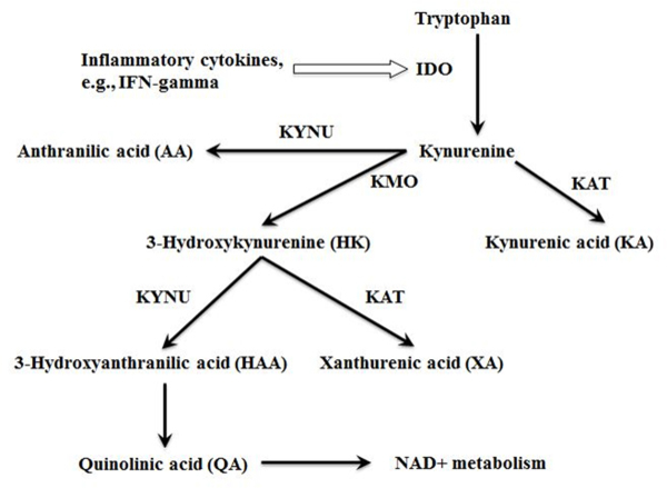 Figure 1: