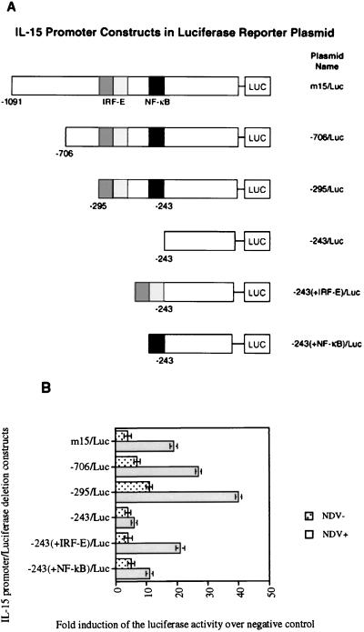 FIG. 3