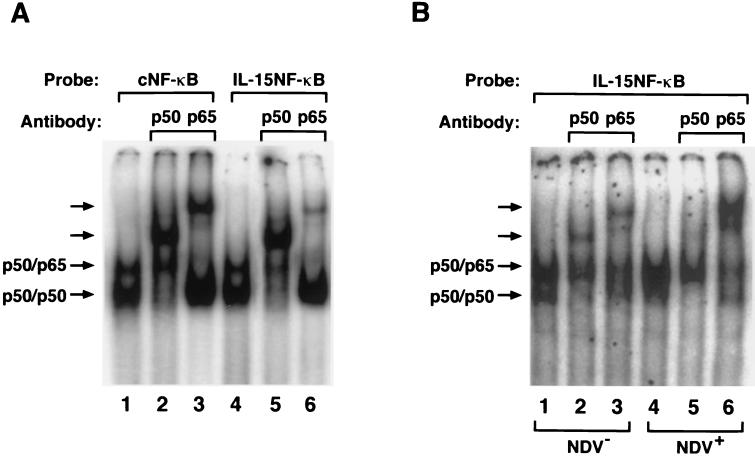 FIG. 5