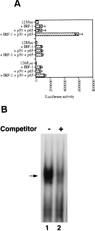 FIG. 8