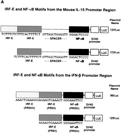 FIG. 7