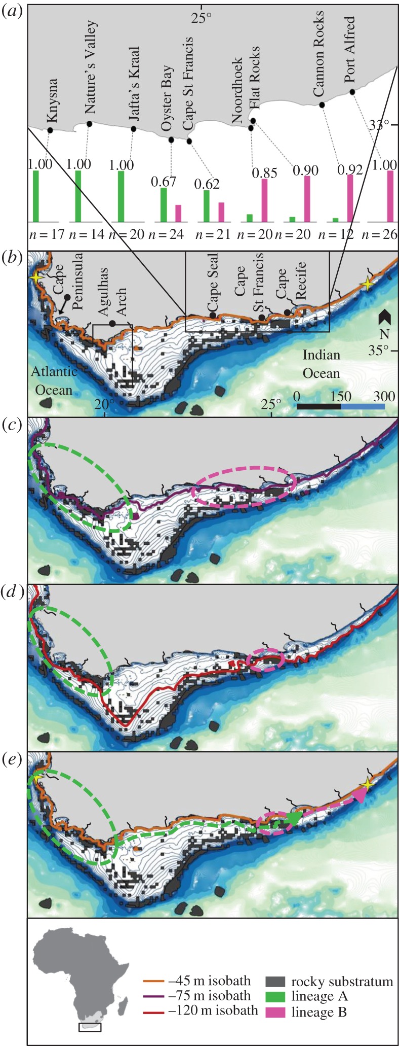 Figure 1.