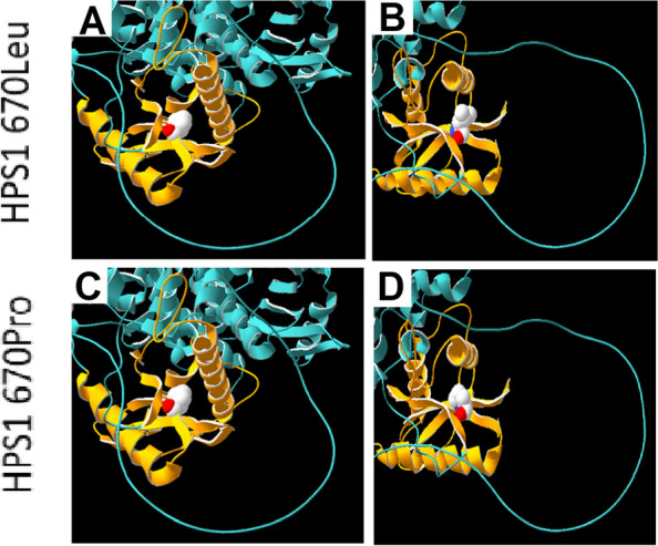 Fig. 4