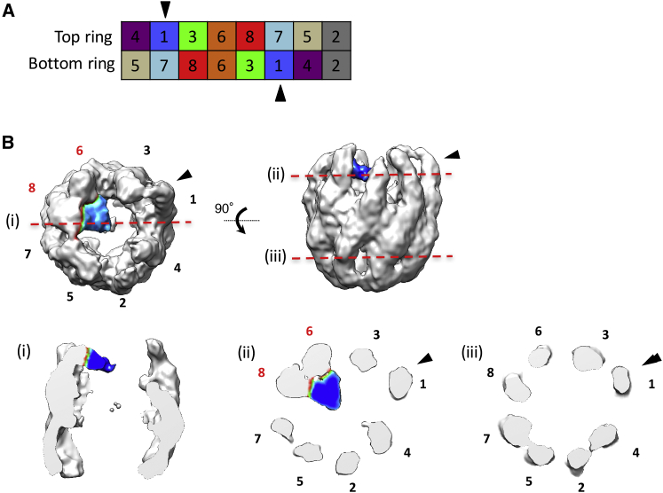 Figure 5