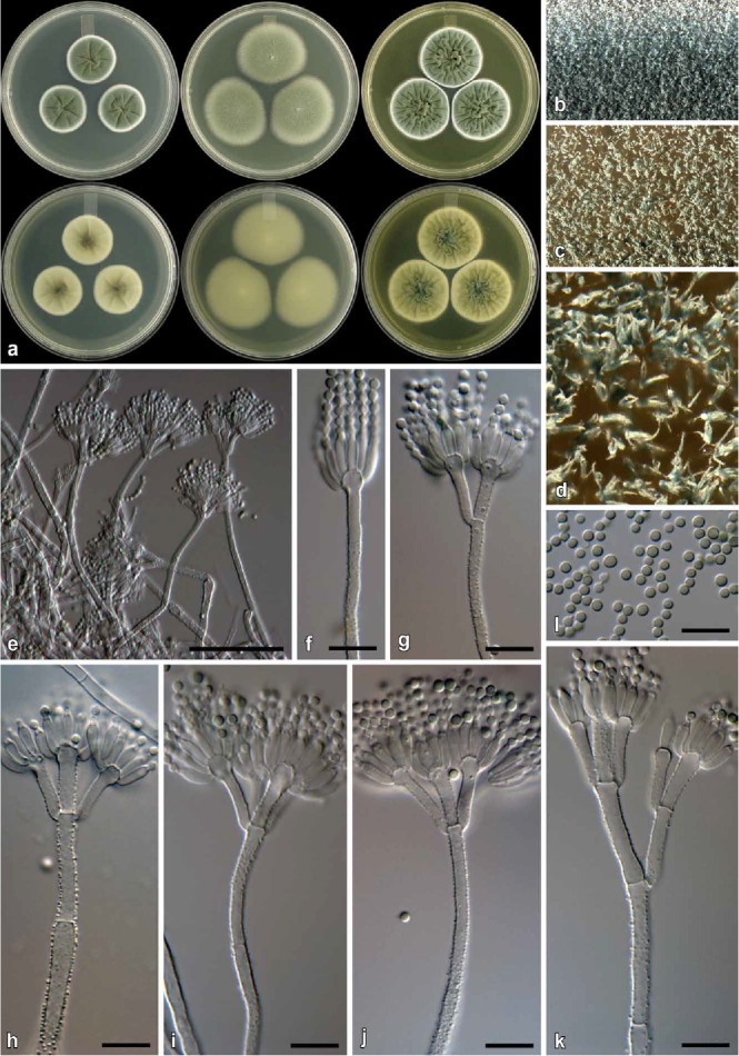 Fig. 15.