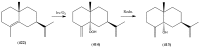 Scheme 4