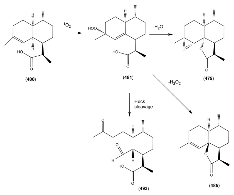 Scheme 6