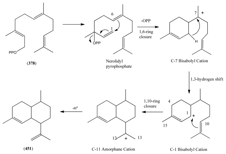 Scheme 10