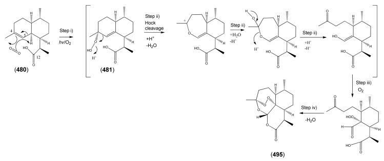 Scheme 12