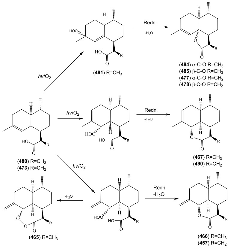 Scheme 5