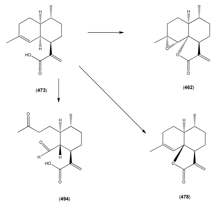 Scheme 7