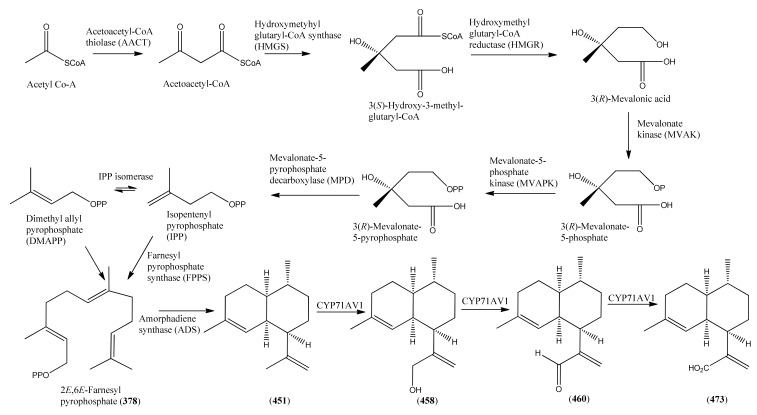 Scheme 13