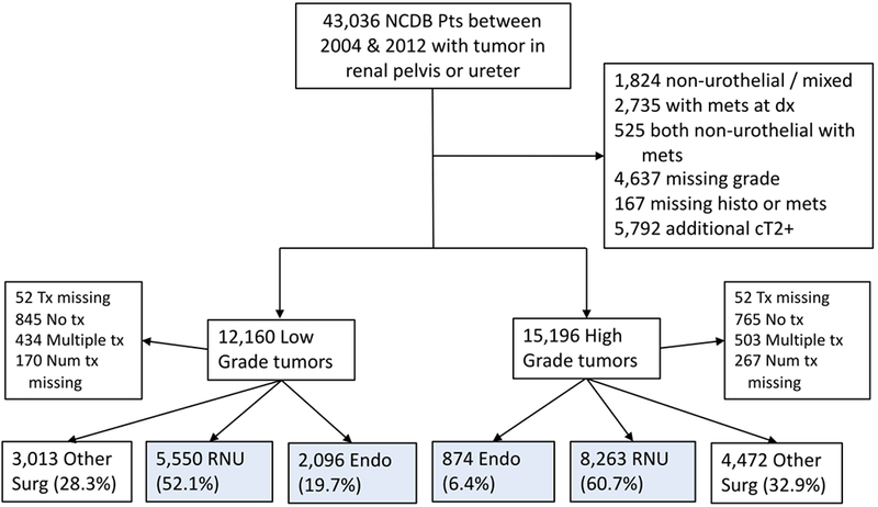 Figure 1 -