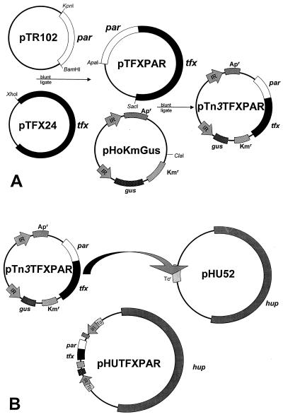 FIG. 1